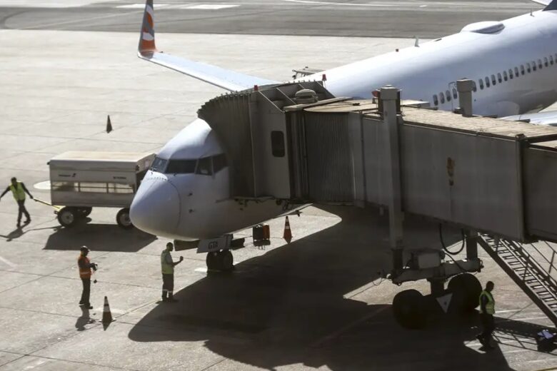 Comissão do governo vai definir regras para transporte aéreo de pets