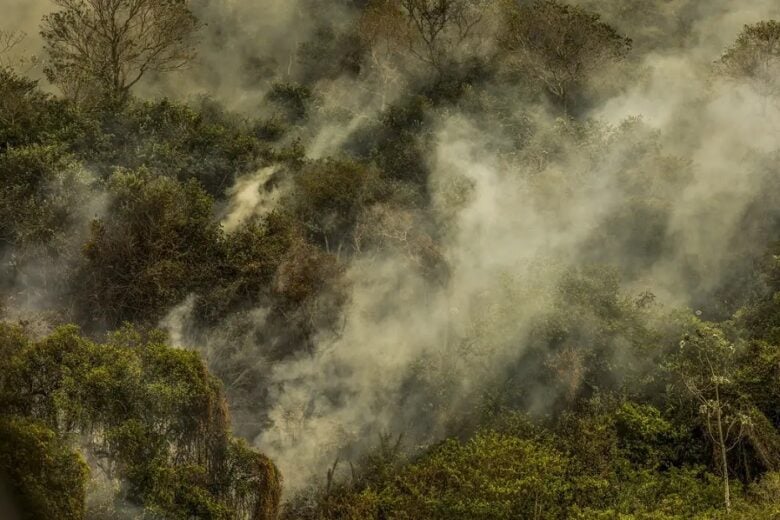 Incêndios podem ter degradado 9% do Pantanal nos últimos cinco anos