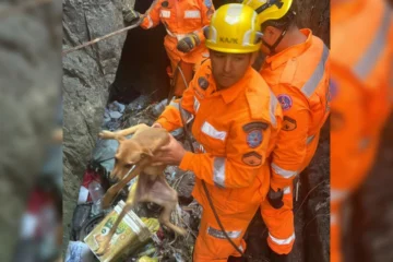 Bombeiros salvam vira-lata preso em buraco com profundidade de 10m em São João Del-Rei