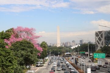 Número de motoristas com problema de visão cresce quase 80% em 10 anos