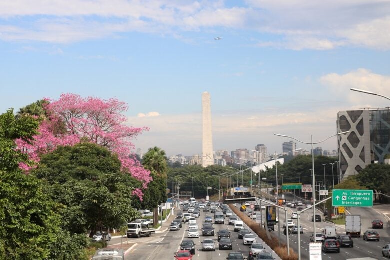 Número de motoristas com problema de visão cresce quase 80% em 10 anos