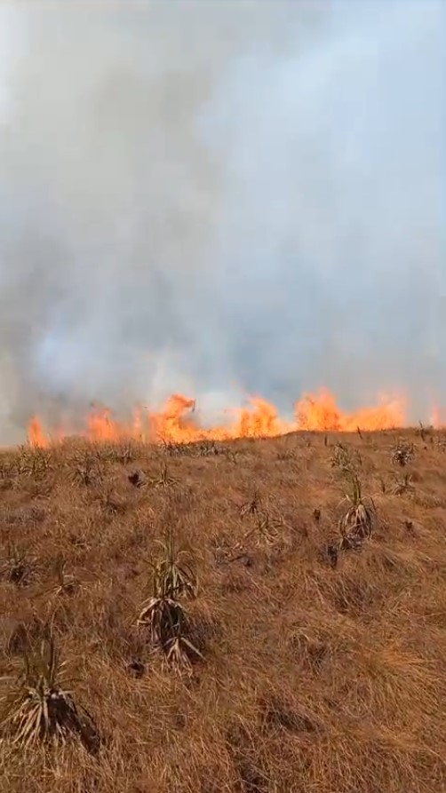 Serra do Cipó: bombeiros seguem atuando no incêndio, que ameaça residências próximas