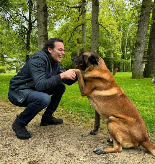 Alain Delon queria ser enterrado com seu cão, mas família impediu sacrifício do animal