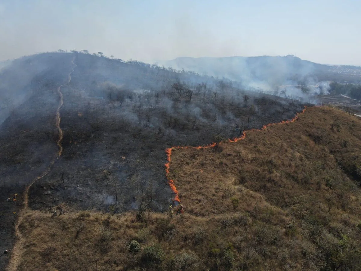 Incêndio atinge a Unidade de Conservação Gruta do Rei do Mato, em Sete Lagoas