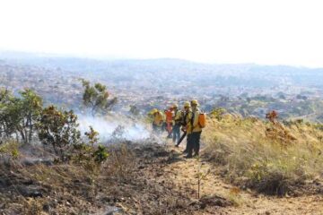 Amor à natureza: conheça os responsáveis pelo combate aos incêndios e queimadas que devastam Minas Gerais