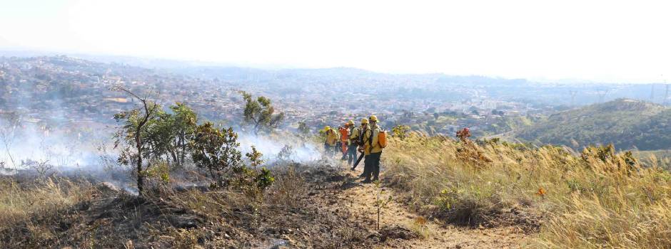 Amor à natureza: conheça os responsáveis pelo combate aos incêndios e queimadas que devastam Minas Gerais