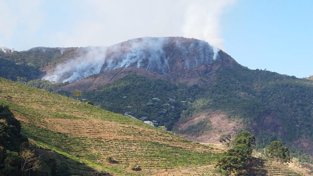 Corpo de Bombeiro combate há quatro dias um incêndio na Serra do Brigadeiro, em Juiz de Fora