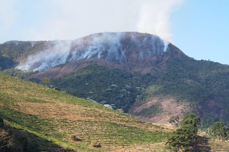 Corpo de Bombeiro combate há quatro dias um incêndio na Serra do Brigadeiro