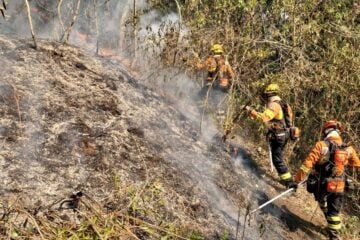 Bombeiros combatem há cinco dias incêndio na Serra do Brigadeiro