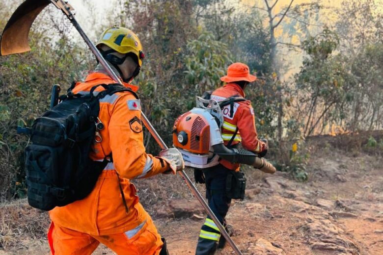 Minas registrou 80 focos de incêndio por dia no mês de agosto