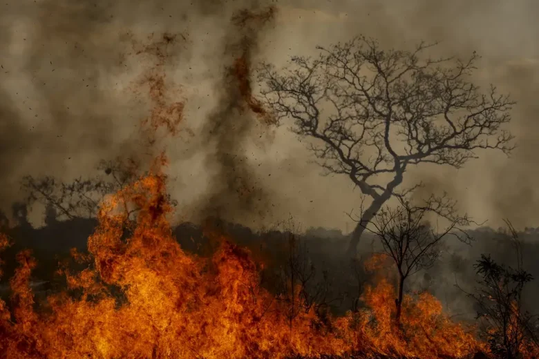 Dois homens são presos por suspeita de incêndios criminosos no interior de São Paulo