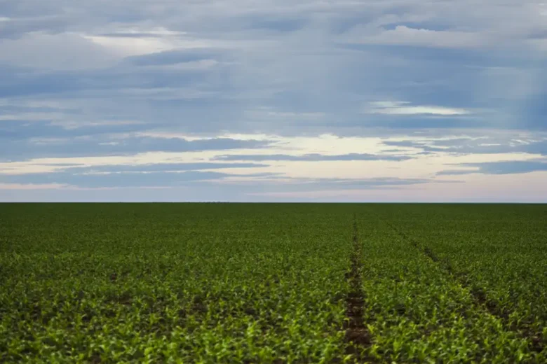 Brasil firma acordos de cooperação agropecuária com Japão, Portugal e Azerbaijão