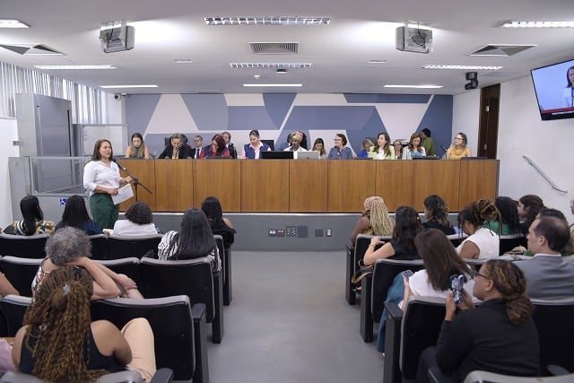 Conselho Nacional de Direitos Humanos escuta relatos de mulheres vítimas de violência na ALMG