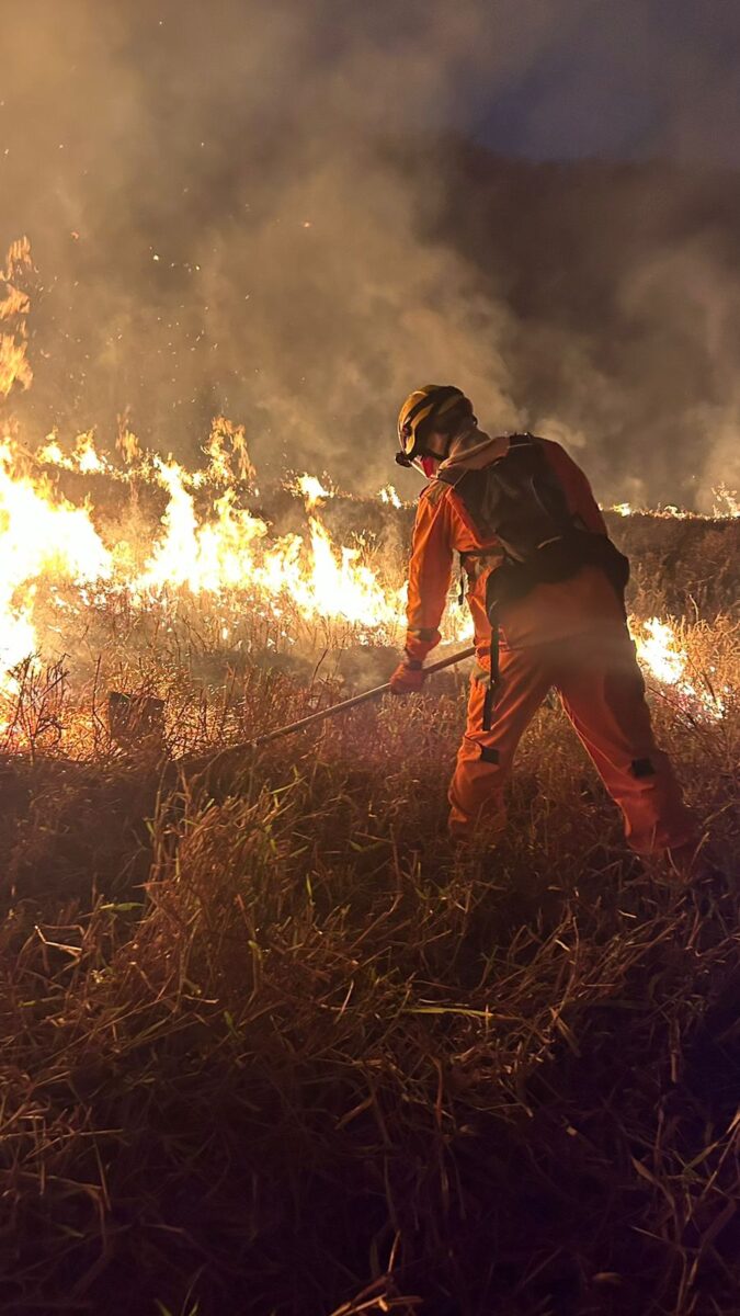 Decreto cria Comitê Nacional de Manejo do Fogo e Centro Integrado de combate a incêndios