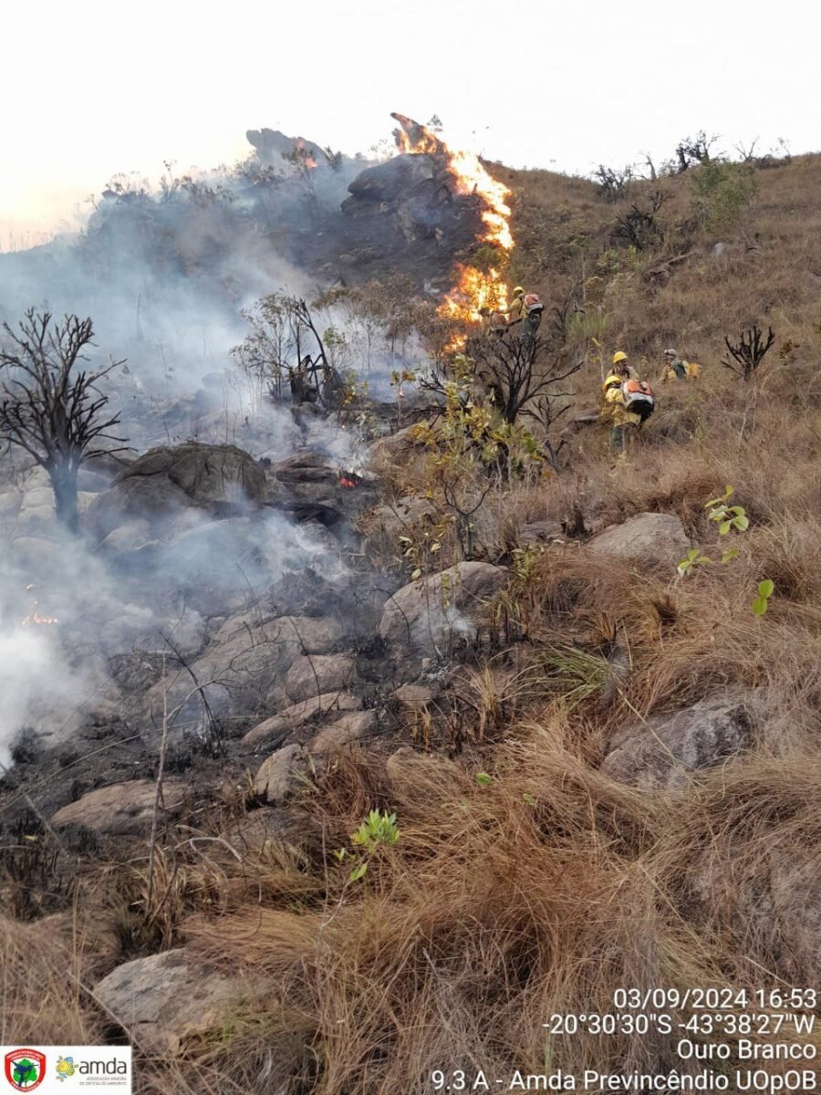 Decreto cria Comitê Nacional de Manejo do Fogo e Centro Integrado de combate a incêndios