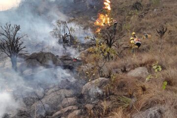 Incêndios em Minas Gerais: 11 Unidades de Conservação do Estado estão em chamas