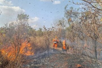 Incêndios registrados em Minas Gerais neste ano já superam números de 2021