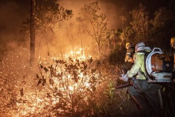 Brasil teve 11,39 milhões de hectares atingidos pelo fogo este ano