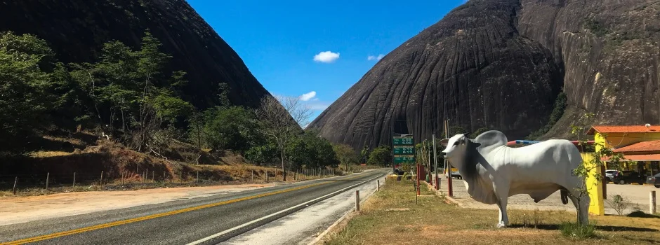 MGC-418: concluídas as obras de recuperação da Rodovia do Boi; saiba mais