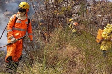 Incêndios em Minas: bombeiros recebem quase 300 acionamentos em 24 horas