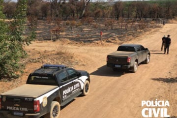 Polícia investiga incêndio em área de proteção em Minas Gerais