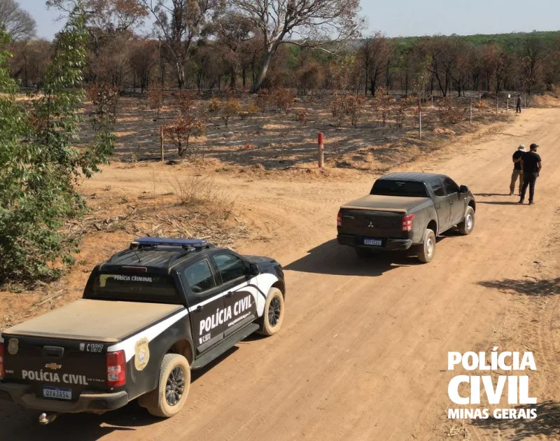 Polícia investiga incêndio em área de proteção em Minas Gerais