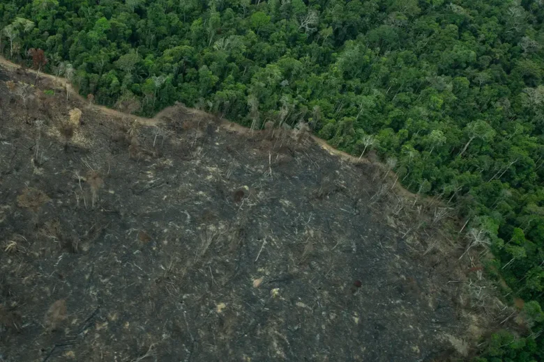 Greenpeace: imagens mostram novas áreas de garimpo em Territórios Indígenas na Amazônia