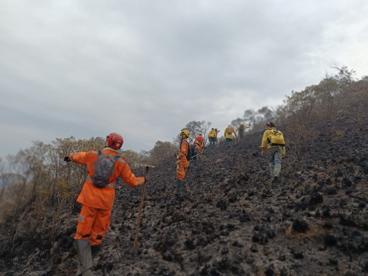 incêndios em minas gerais