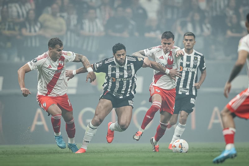 galo na libertadores