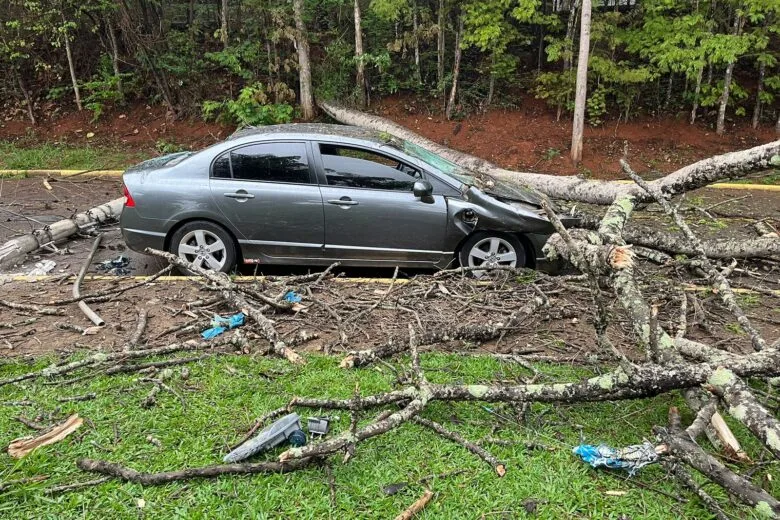 Árvore cai por cima de carro, derruba poste e causa grandes danos em Itabira