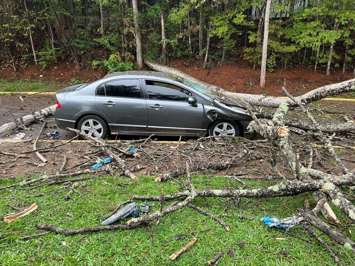 Árvore cai por cima de carro, derruba poste e causa grandes danos em Itabira