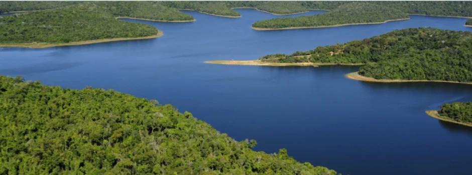 Recuperação da Bacia do Rio Doce: Governo de Minas apresenta material com ações ambientais desenvolvidas