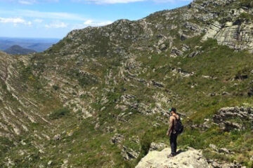 Instituto Estadual de Florestas participa de descoberta de nova espécie da flora brasileira no Norte de Minas