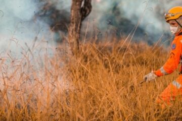 Minas Gerais registra redução de 20% nas áreas queimadas em unidades de conservação em 2024