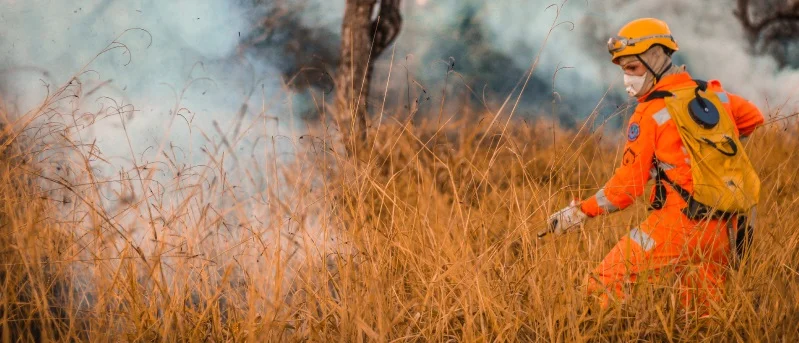 Minas Gerais registra redução de 20% nas áreas queimadas em unidades de conservação em 2024