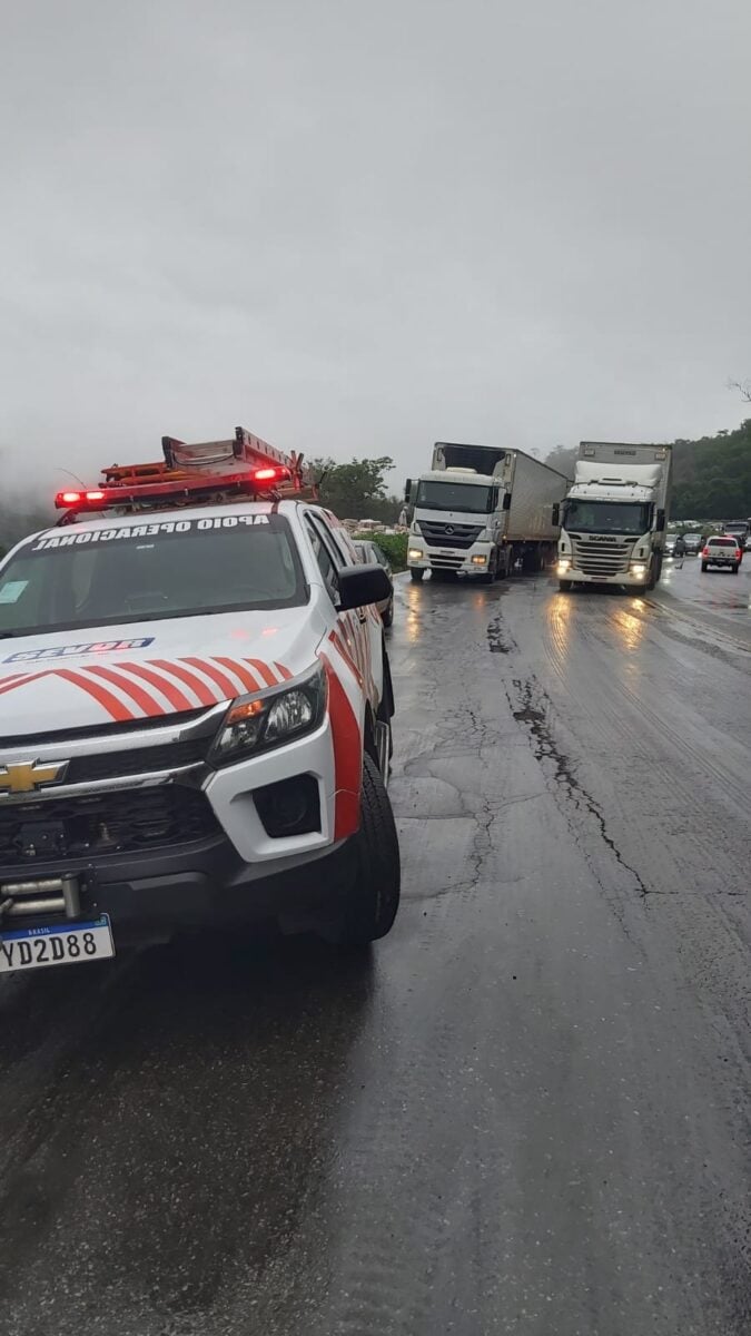 Caminhão carregado de congelados tem carga saqueada após acidente na BR-381