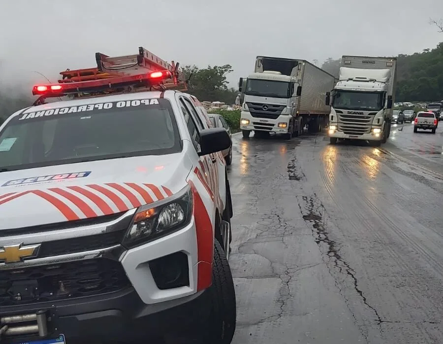 Caminhão carregado de congelados tem carga saqueada após acidente na BR-381