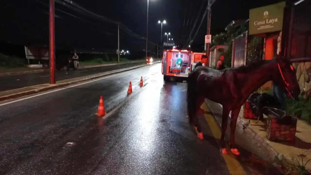 Acidente entre carro e cavalo deixa dois feridos em João Monlevade