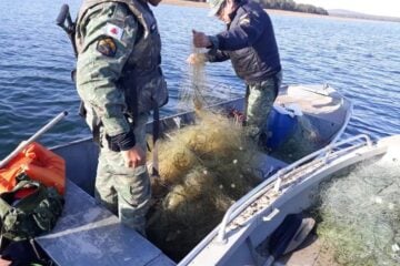 Período de restrições à pesca em Minas Gerais já está valendo; saiba mais