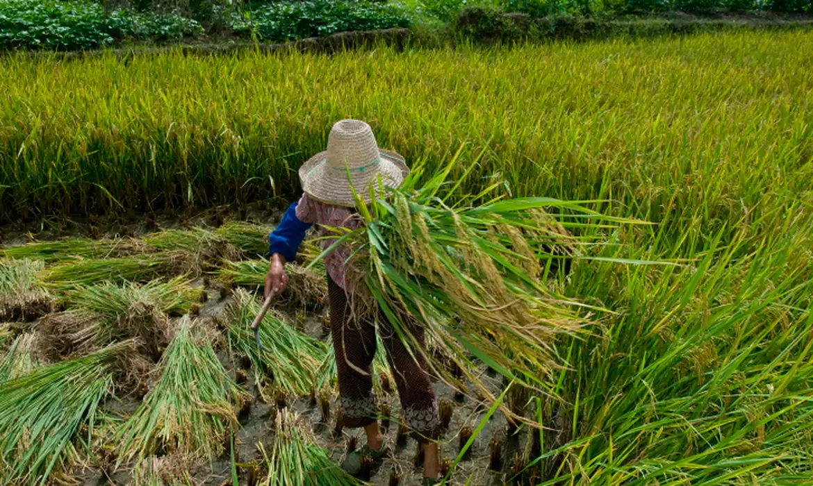 Negros são maioria entre vítimas de trabalho escravo contemporâneo no Brasil