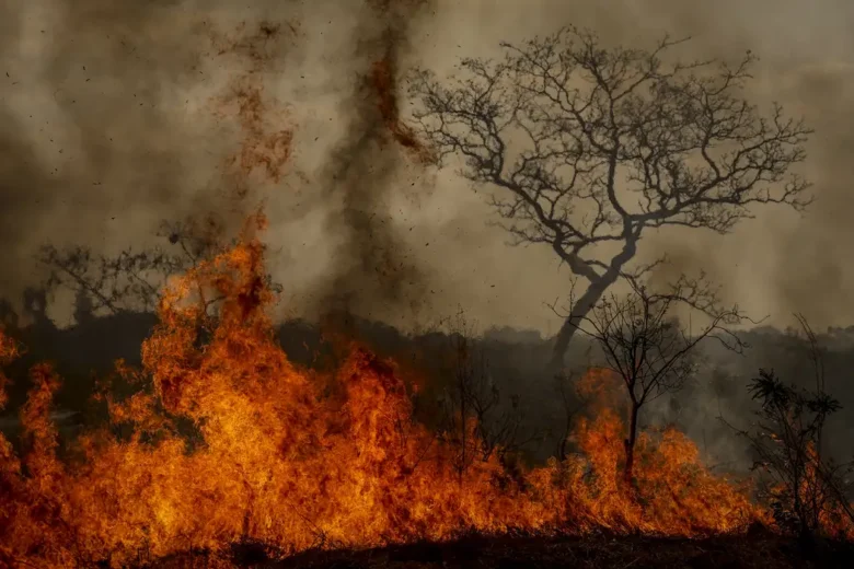 Brasil: desastres ambientais aumentaram 250% desde 2020