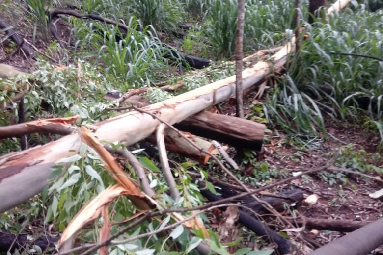 Fortes chuvas em João Monlevade afetam o abastecimento dos bairros Vila Tanque e Areia Preta