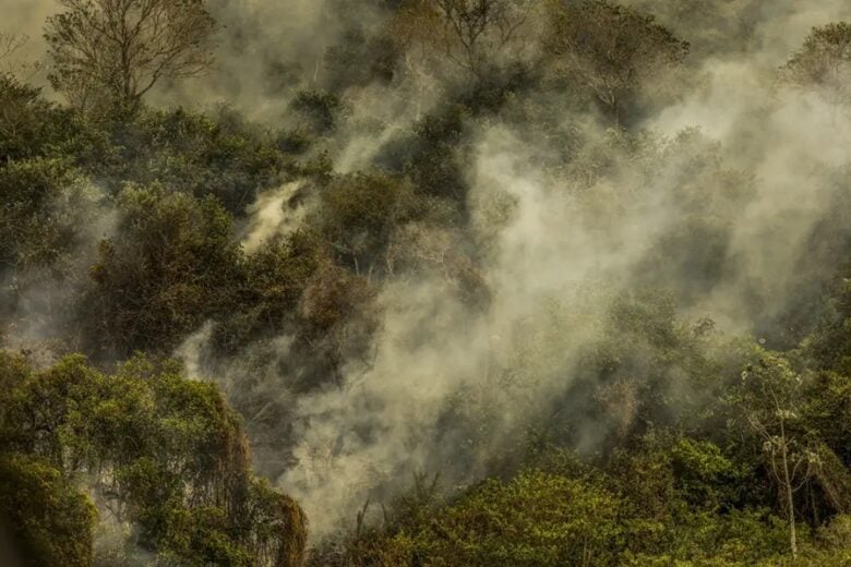 Governo aprova planos contra desmatamento e queimadas no Pantanal e na Caatinga