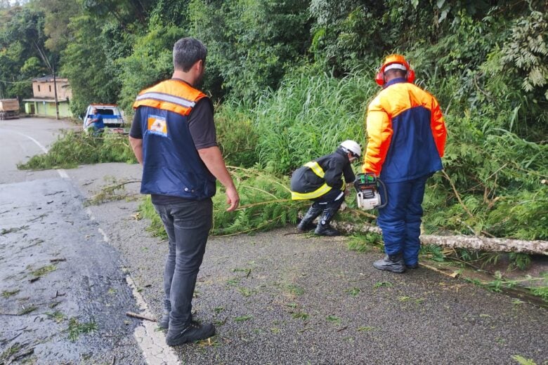 Trechos da BR-381 e MGC-120 são desobstruídos após queda de árvores