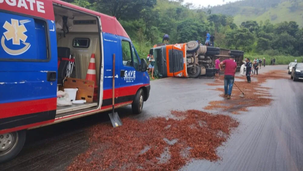 Caminhão com carga de bois tomba na BR-381 em Nova Era; saqueadores abatem parte dos animais