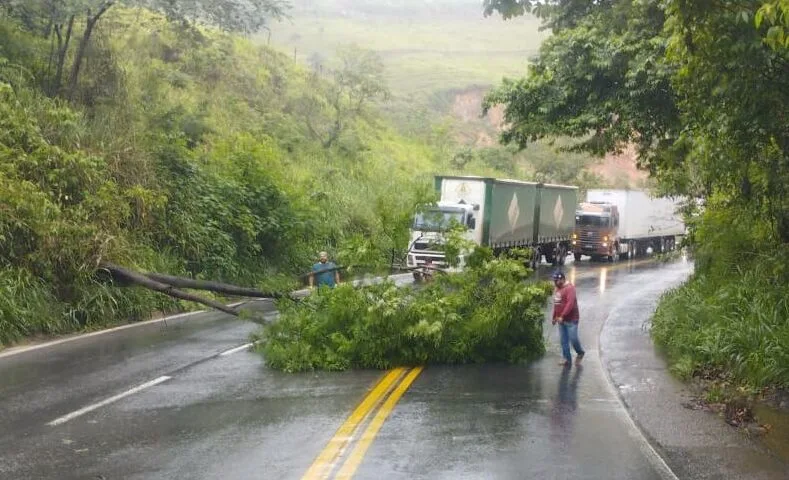 Chuvas em MG: Sevor auxilia DNIT em poda de árvore que caiu na BR-381, em João Monlevade