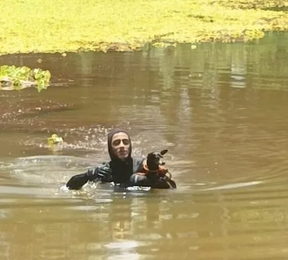 Minas Gerais: bombeiros resgatam cadela em risco de afogamento na lagoa do Parque do Goiabal