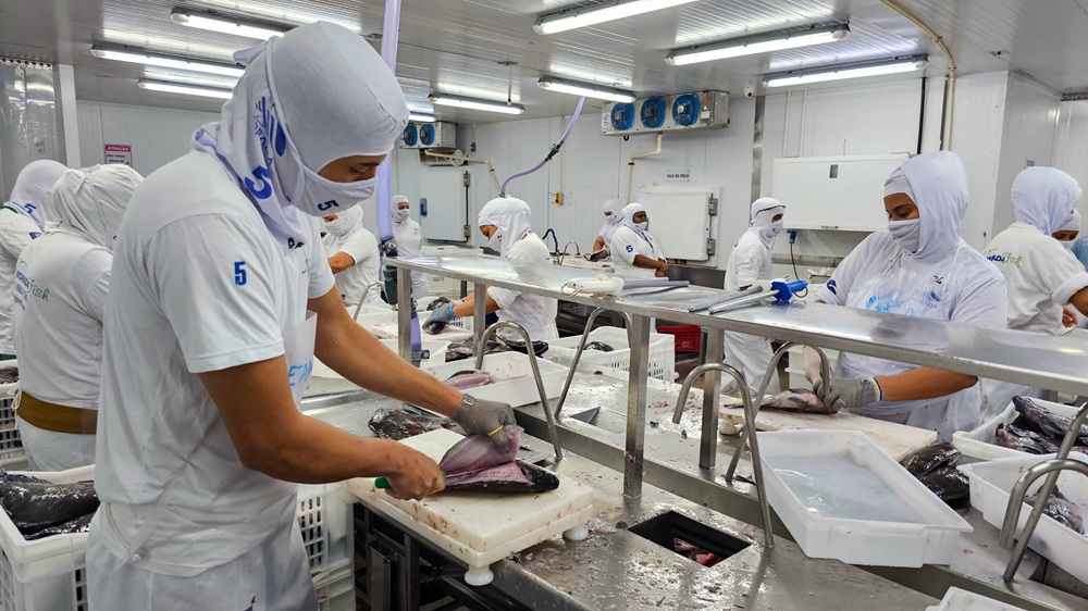 Morada Nova de Minas, na região Central, é o maior município produtor de tilápias do Brasil