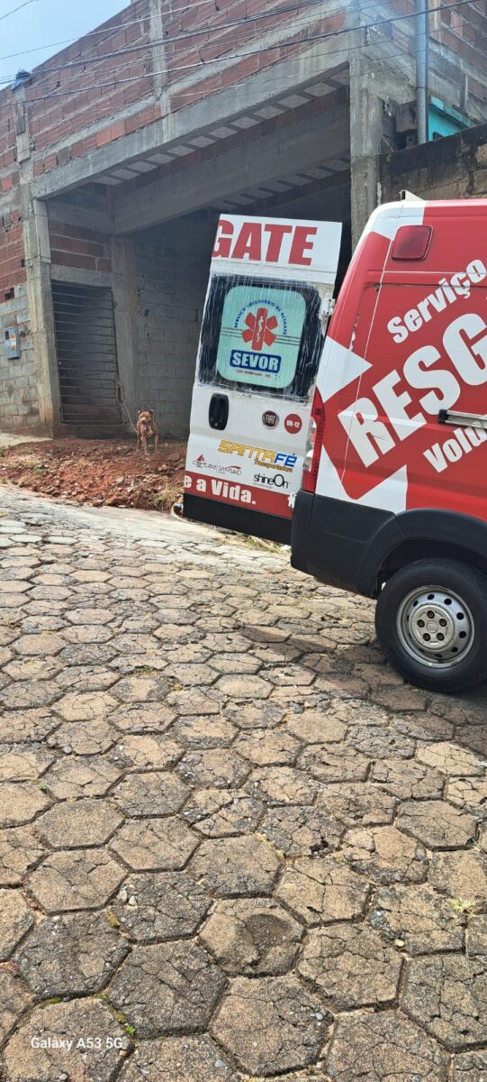 Idoso de 80 anos é atacado por pitbull em João Monlevade