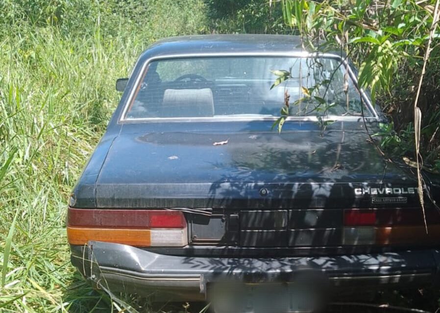 Polícia recupera veículo furtado de BH abandonado em área de vegetação em Itabira